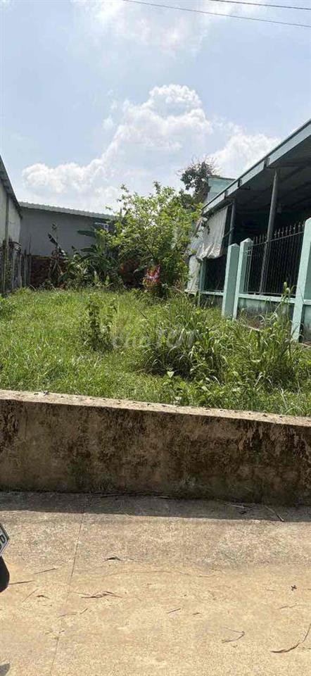 cần bán gấp