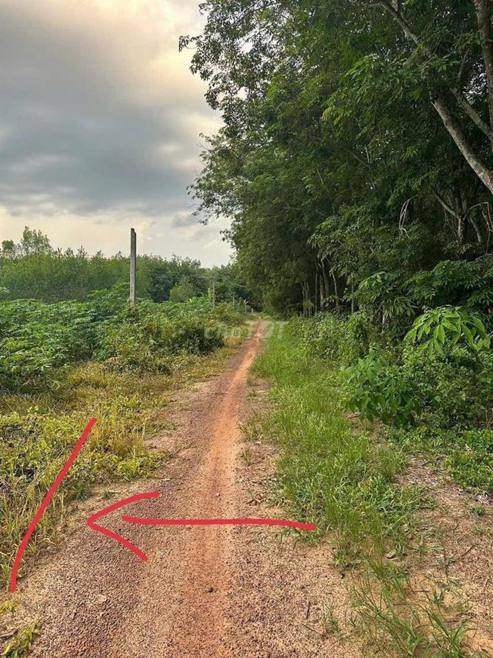 Bán đất chính chủ
