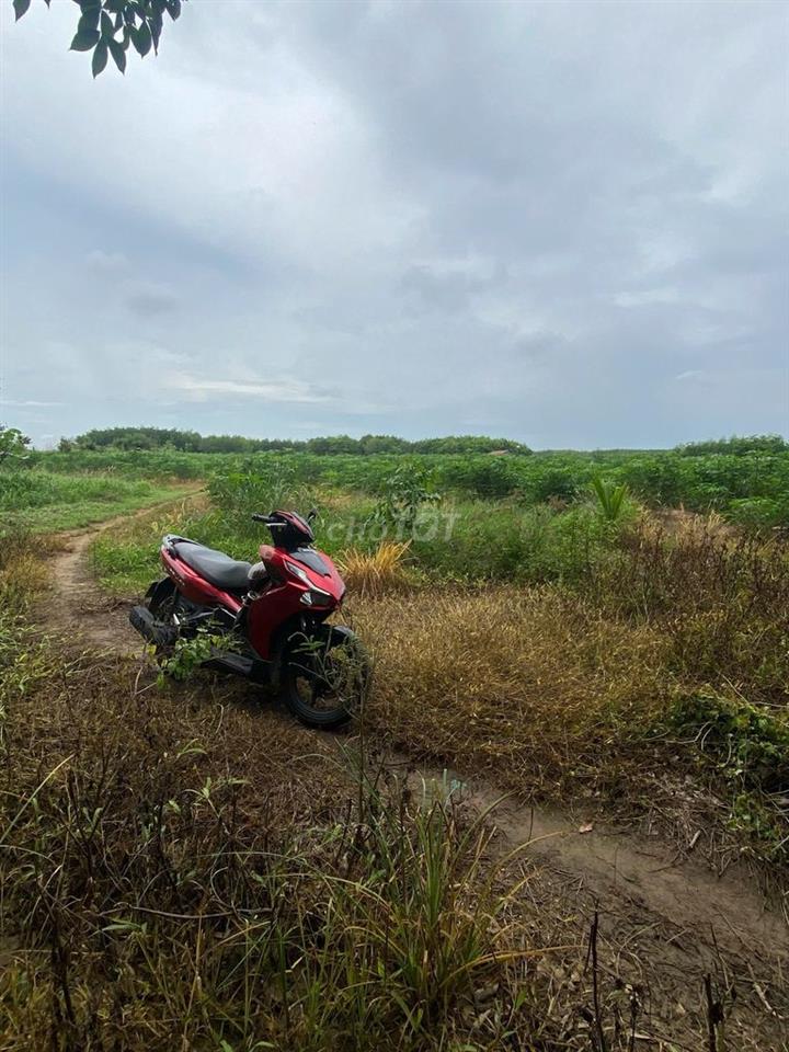 Bán đất chính chủ