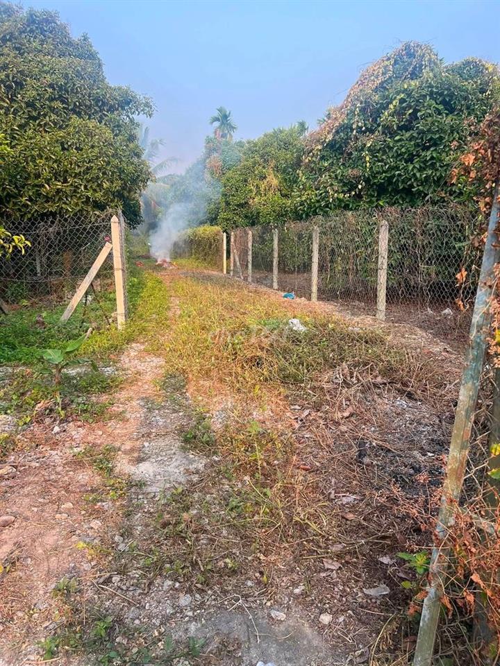 chủ thua độ bán gấp vườn trái cây An Sơn Thuận an 