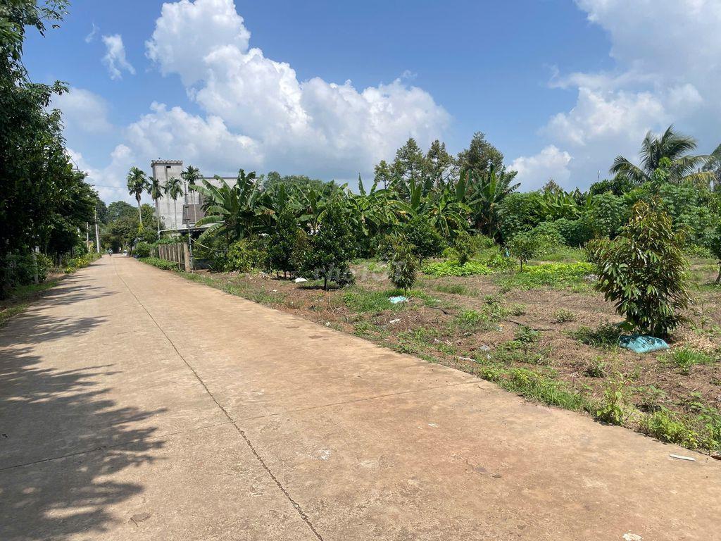 CHỦ NGỘP BÁN NHANH 244M2, GIÁ CHỈ 395TR, SỔ SẴN, MT ĐƯỜNG 8M, DÂN ĐÔNG