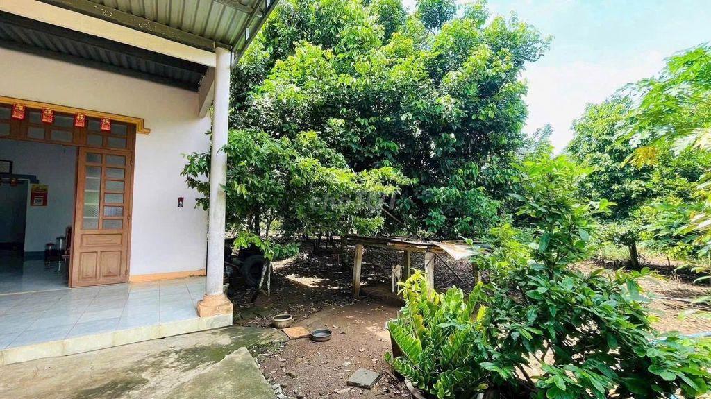 nhà vườn bên suối, đường ô tô lớn, cách SG 65km