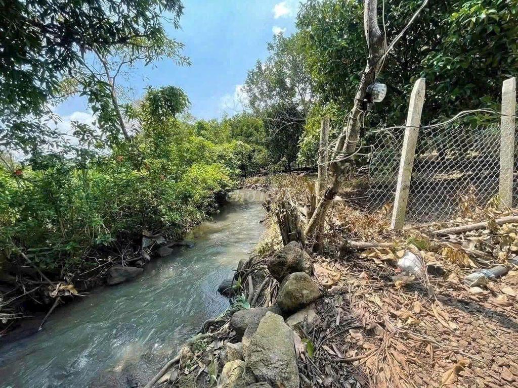 nhà vườn bên suối, đường ô tô lớn, cách SG 65km