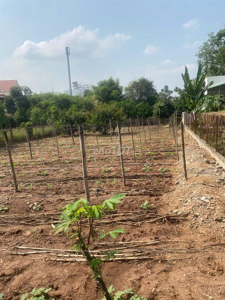 Chính chủ cần bán 768m2 có thổ cư ngay sát quốc lộ 13
