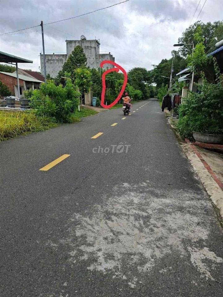 cần bán đất  lai hung 63