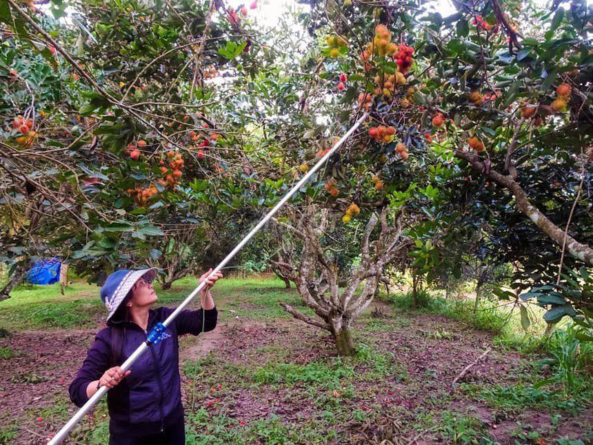 đất vườn có thổ cư cần bán gâpp