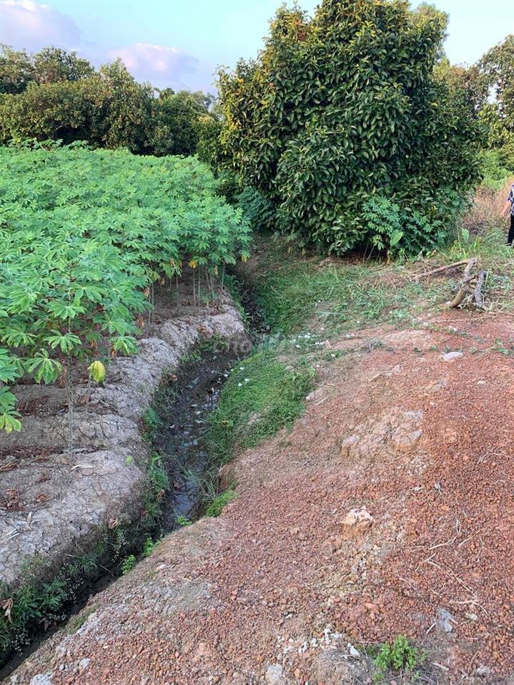 Bán 635m2 đất thuộc Phường Tân An cũ, TP Hồ Chí Minh
