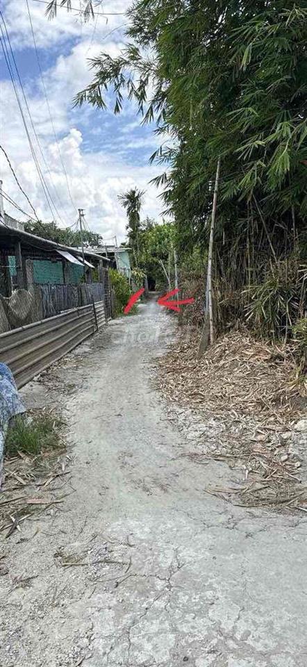 bán đất hẻm  Nguyễn văn Cừ , Phường Chánh Mũ