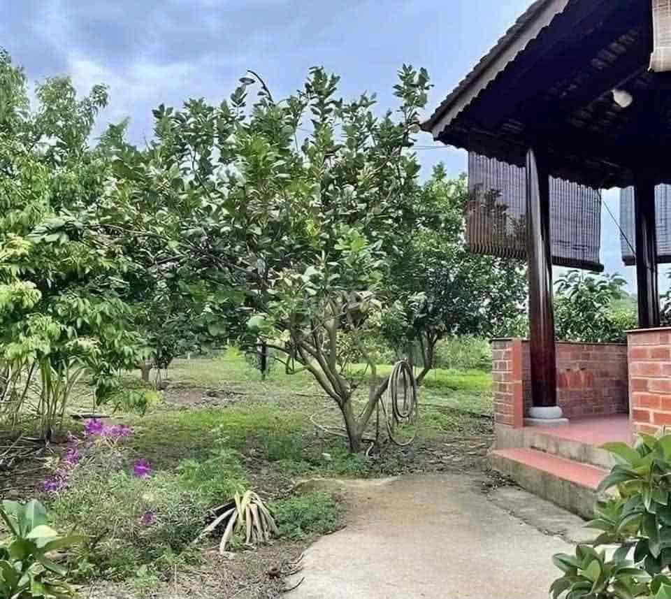 Bán gấp miếng đất giá rẻ
