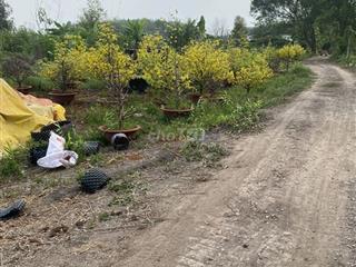Bán đất P.Tây Nam Tp HCM giáp rạch, gần sông SG, tiện ra TL744 .