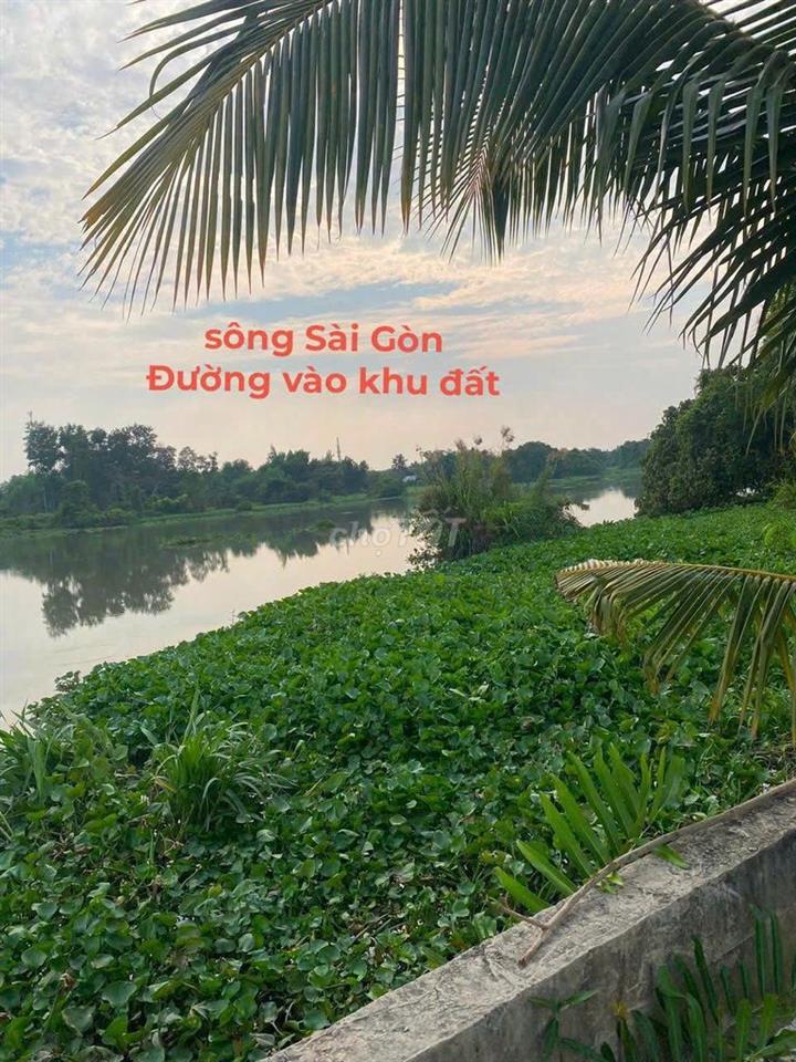 Bán đất P.Tây Nam Tp HCM giáp rạch, gần sông SG, tiện ra TL744 .