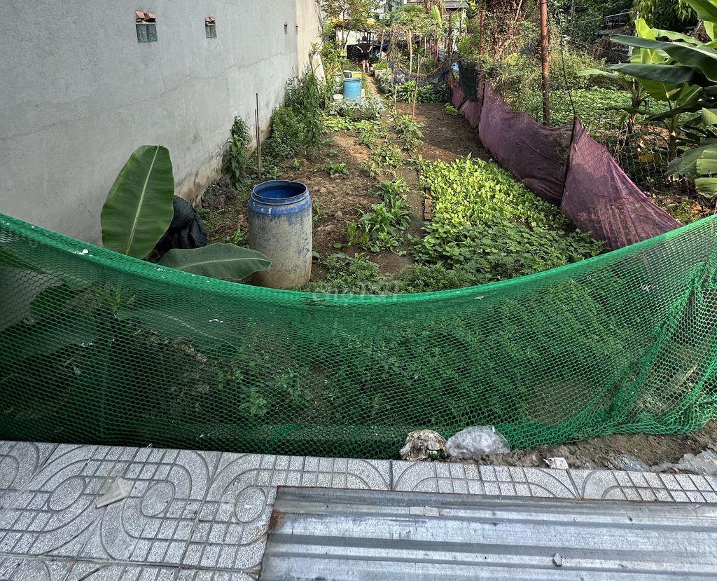 Bán đất nền khu dân cư 610, Đường Tân Lập. P. Đông Hoà.