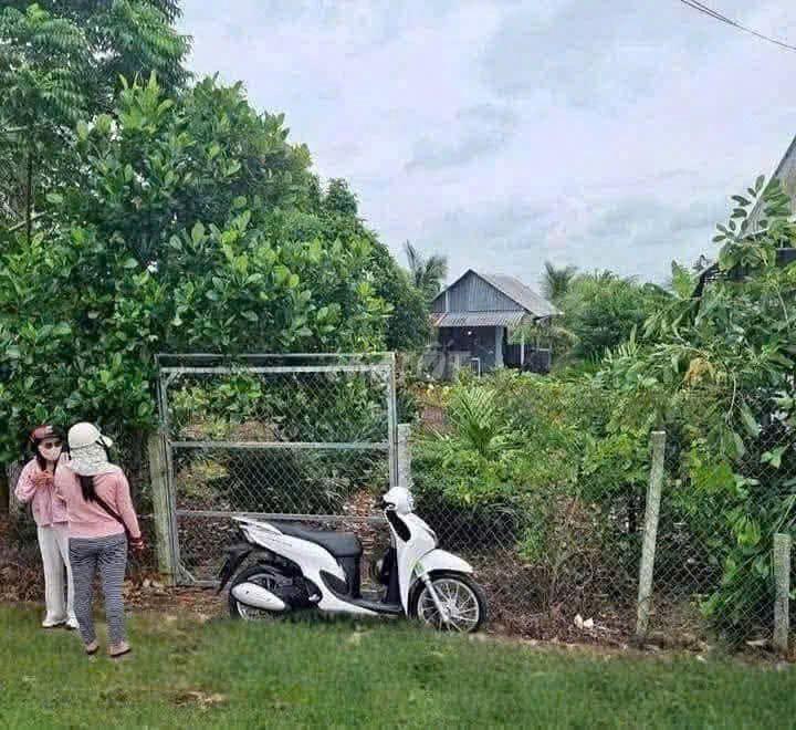 đất vườn có thổ cư