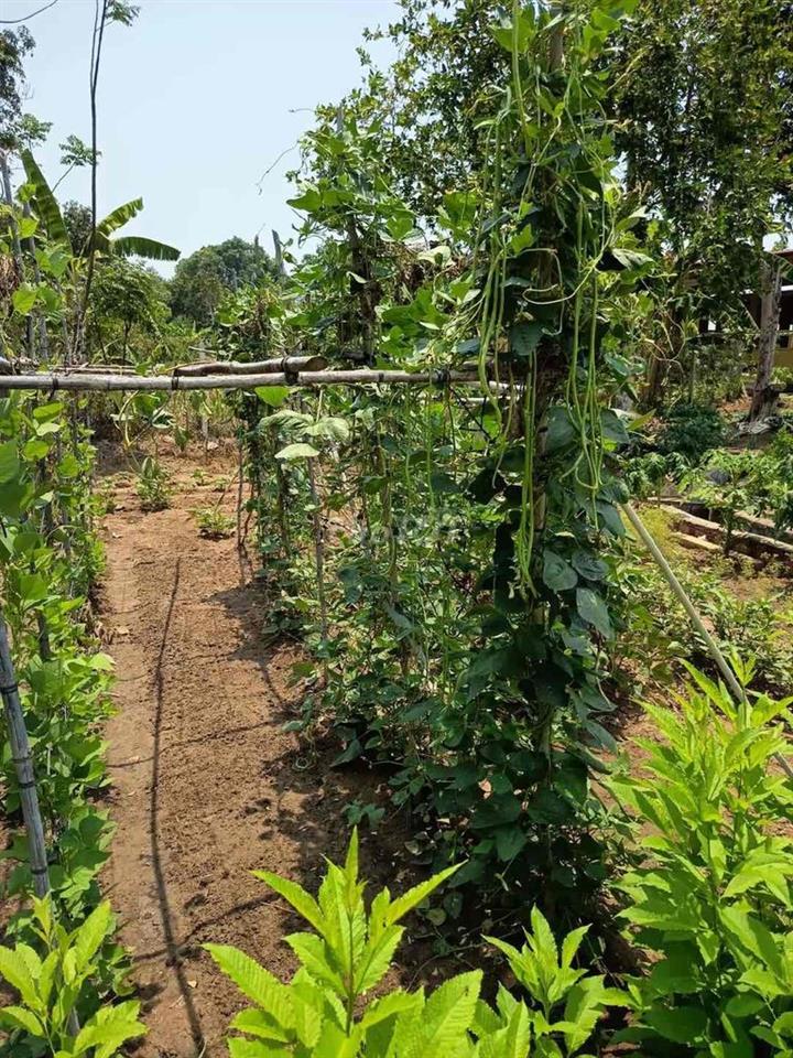 bán đất vườn 1000m2 đường ĐT750