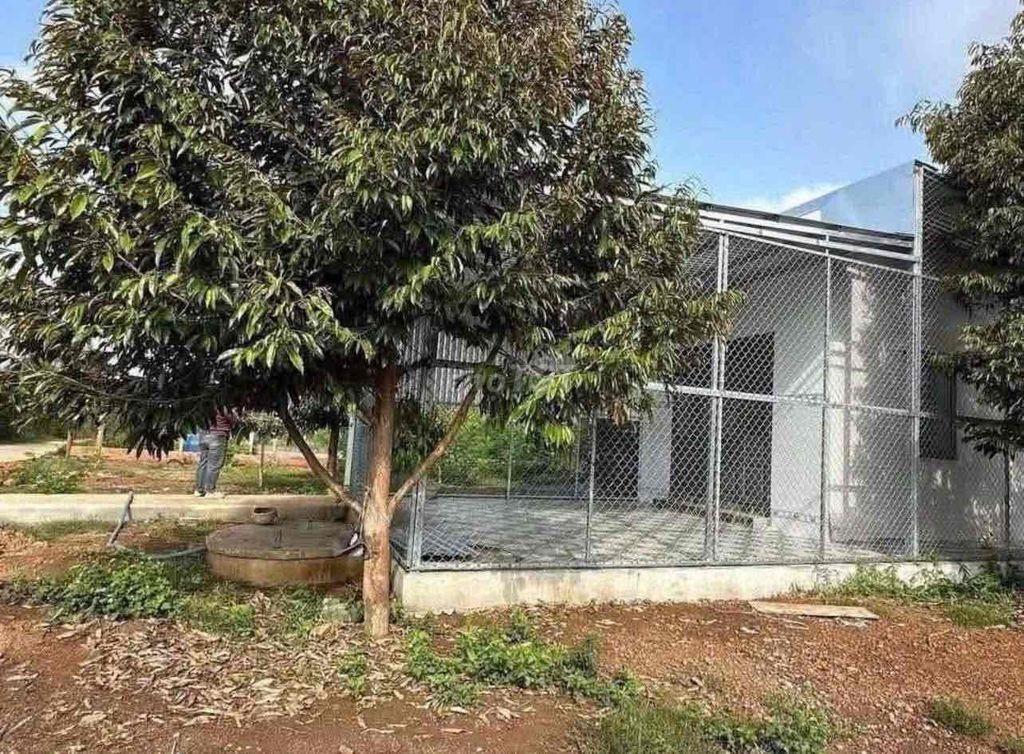 bán đất vườn 1000m2 đường ĐT750