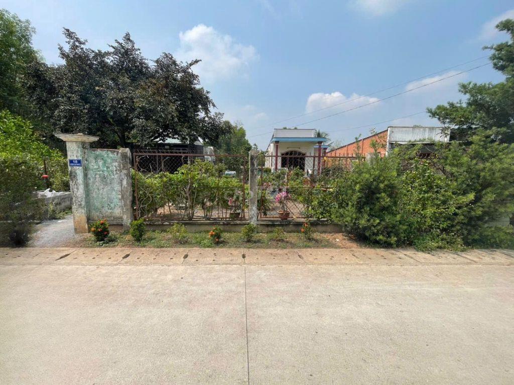 BÁN ĐẤT ĐƯỜNG TÂN THÀNH 52 CHÍNH CHỦ (288.6m² – FULL THỔ CƯ)