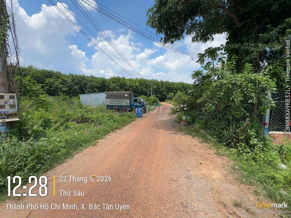 BÁN ĐẤT 278.4m² FULL THỔ CƯ CHÍNH CHỦ - TÂN ĐỊNH 16, BẮC TÂN UYÊN
