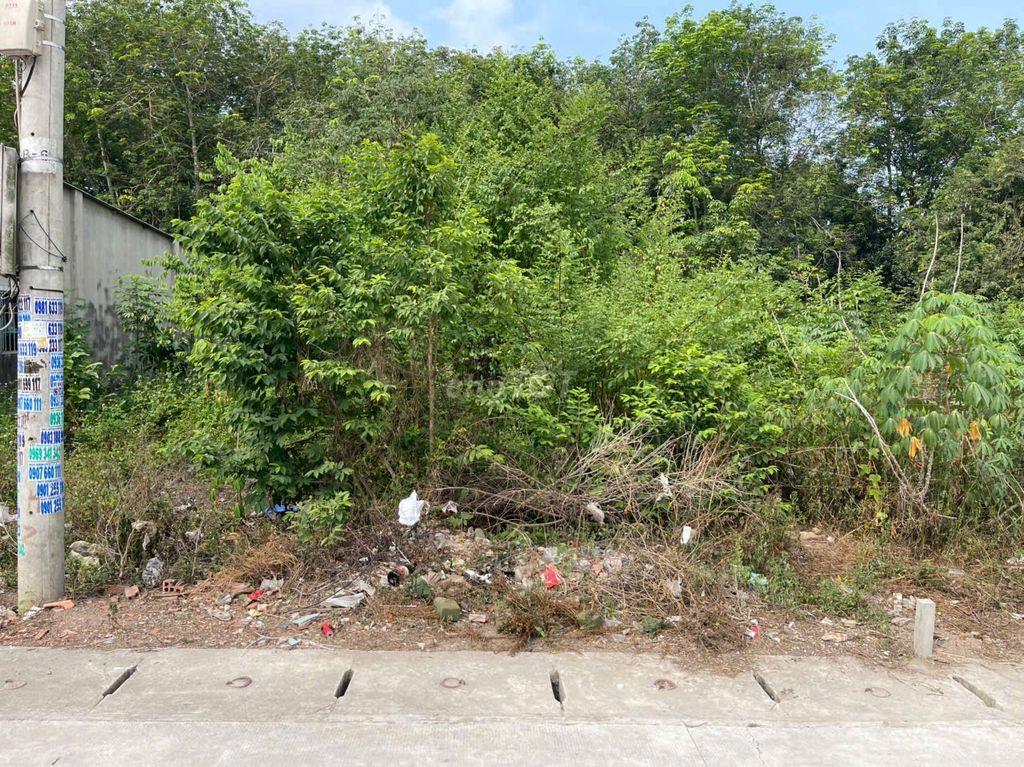 CHÍNH CHỦ BÁN ĐẤT 179m² FULL THỔ CƯ - TÂN ĐỊNH 08, BẮC TÂN UYÊN