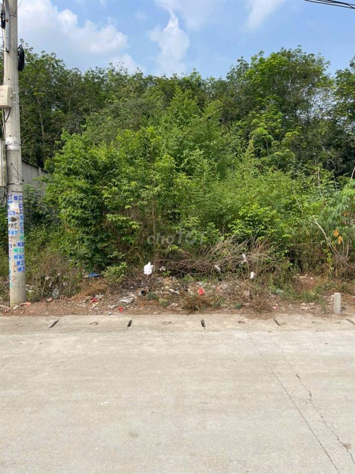 CHÍNH CHỦ BÁN ĐẤT 179m² FULL THỔ CƯ - TÂN ĐỊNH 08, BẮC TÂN UYÊN