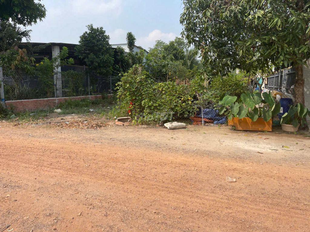 CHÍNH CHỦ BÁN ĐẤT TÂN ĐỊNH 16 (283.1m² – NGANG 6M – THỔ CƯ CAO)