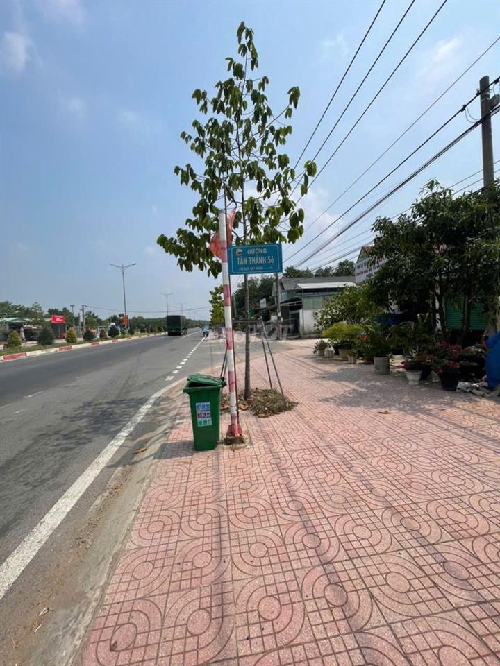 CHÍNH CHỦ BÁN ĐẤT TÂN THÀNH 56 (708.5m² – NGANG 12M – ĐẤT RỘNG ĐẸP)