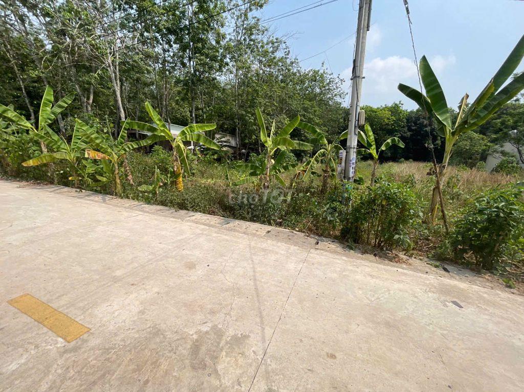 CHÍNH CHỦ BÁN ĐẤT TÂN THÀNH 56 (708.5m² – NGANG 12M – ĐẤT RỘNG ĐẸP)