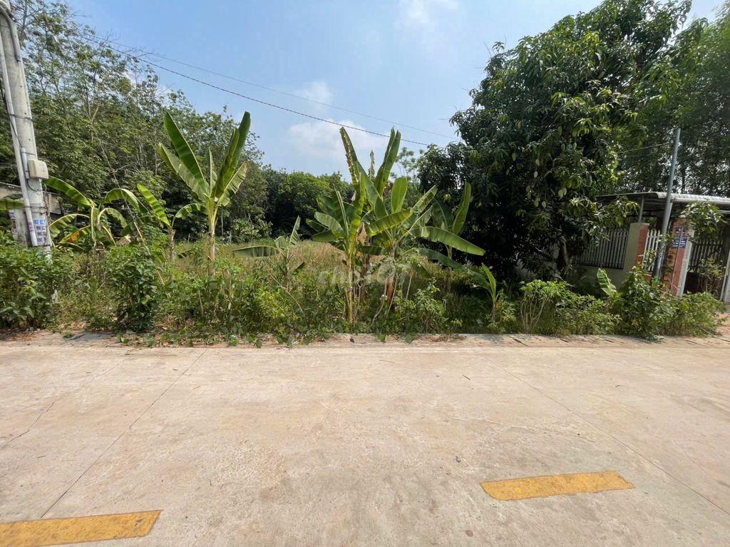 CHÍNH CHỦ BÁN ĐẤT TÂN THÀNH 56 (708.5m² – NGANG 12M – ĐẤT RỘNG ĐẸP)