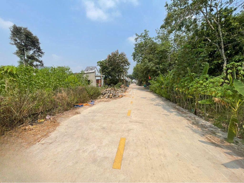 CHÍNH CHỦ BÁN ĐẤT TÂN THÀNH 56 (708.5m² – NGANG 12M – ĐẤT RỘNG ĐẸP)