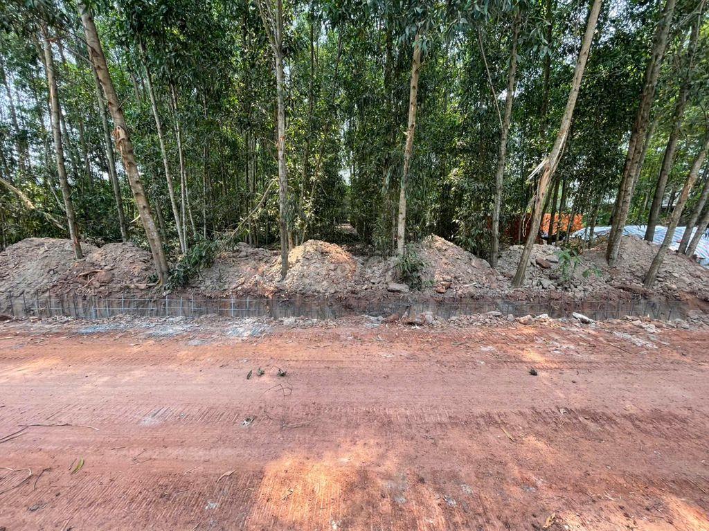 CHÍNH CHỦ BÁN ĐẤT TÂN THÀNH 08 (230.7m² – HẺM 7M – GẦN KCN)