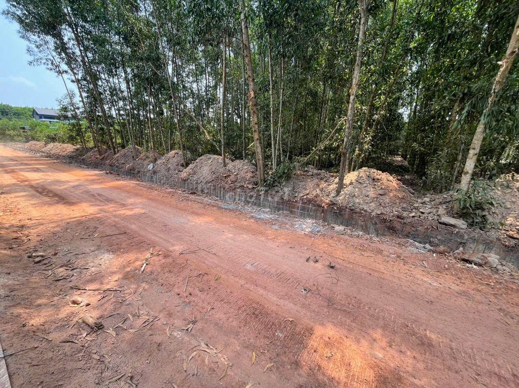 CHÍNH CHỦ BÁN ĐẤT TÂN THÀNH 08 (230.7m² – HẺM 7M – GẦN KCN)
