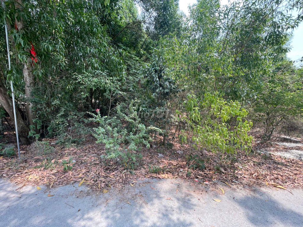CHÍNH CHỦ BÁN ĐẤT TÂN THÀNH 36 – 408m² – ĐƯỜNG NHỰA ĐẸP