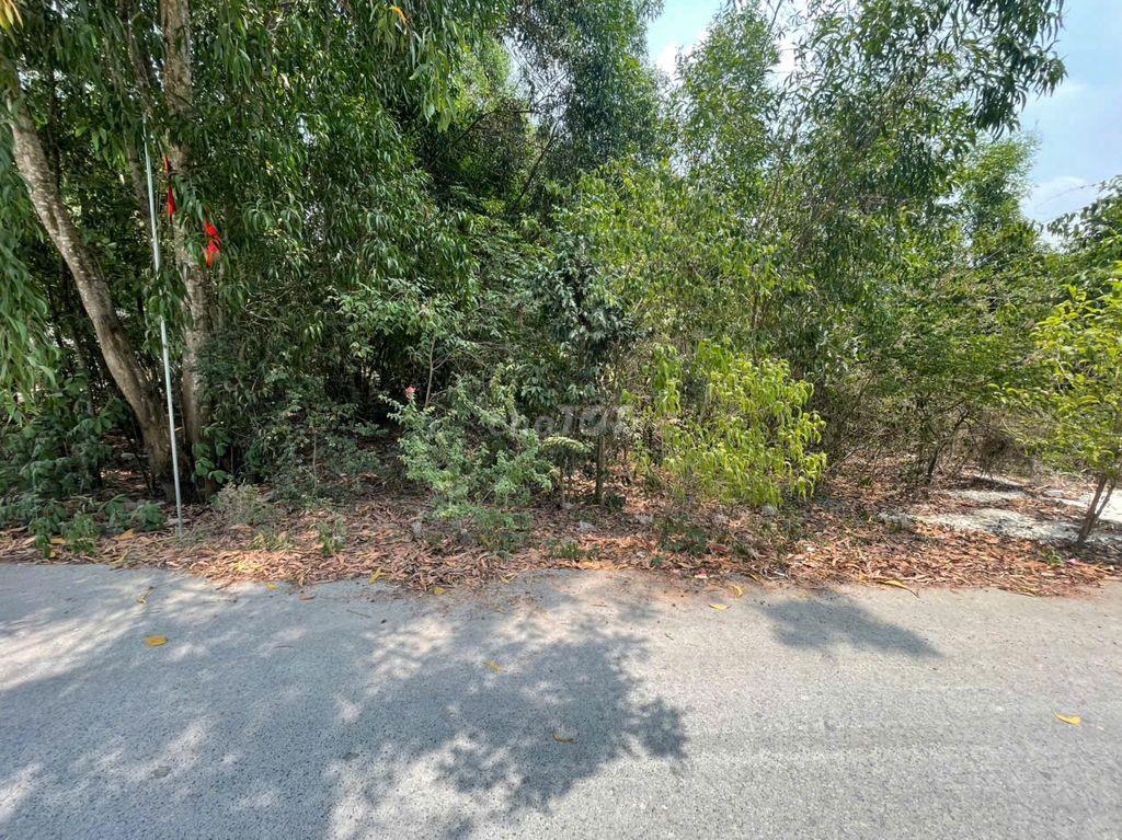 CHÍNH CHỦ BÁN ĐẤT TÂN THÀNH 36 – 408m² – ĐƯỜNG NHỰA ĐẸP