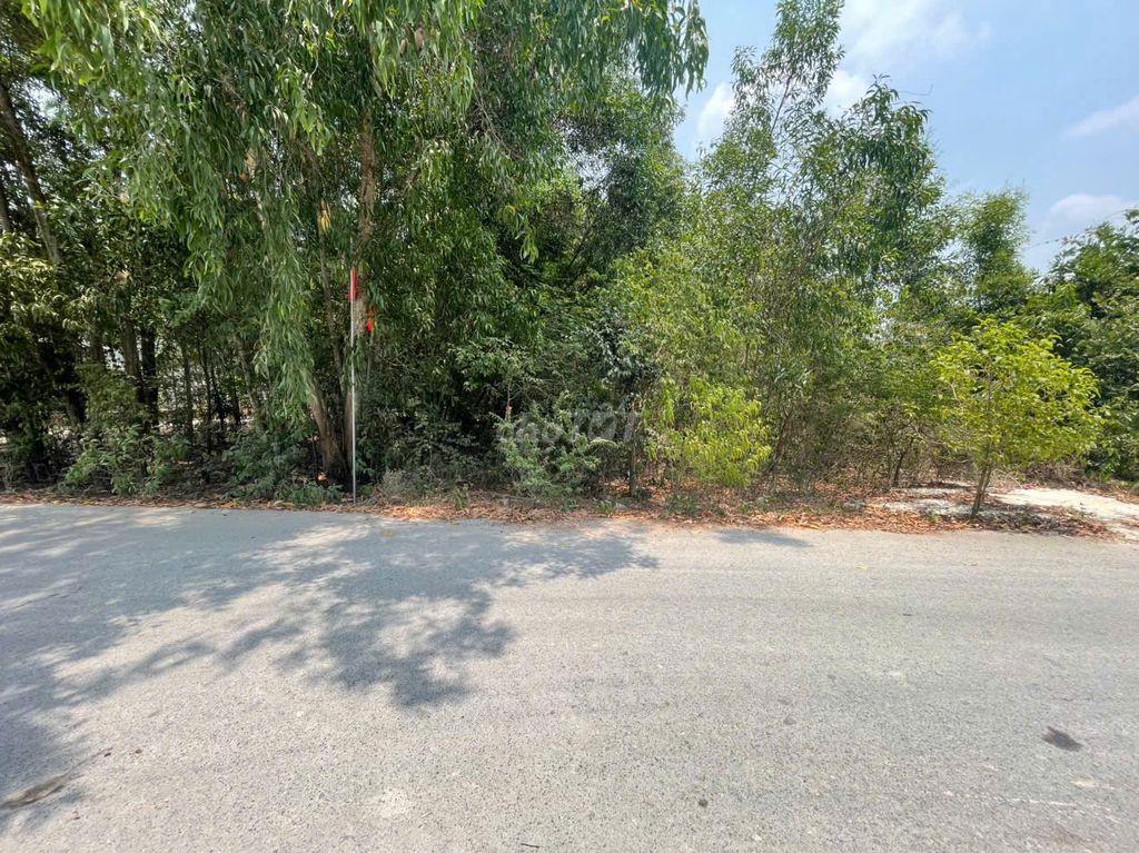 CHÍNH CHỦ BÁN ĐẤT TÂN THÀNH 36 – 408m² – ĐƯỜNG NHỰA ĐẸP