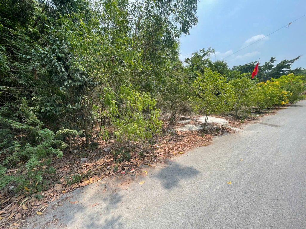 CHÍNH CHỦ BÁN ĐẤT TÂN THÀNH 36 – 408m² – ĐƯỜNG NHỰA ĐẸP