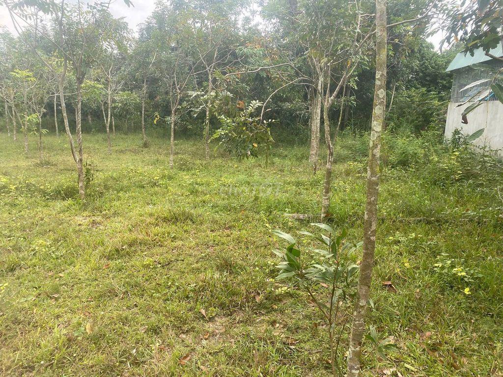 Đất rộng, khu dân cư