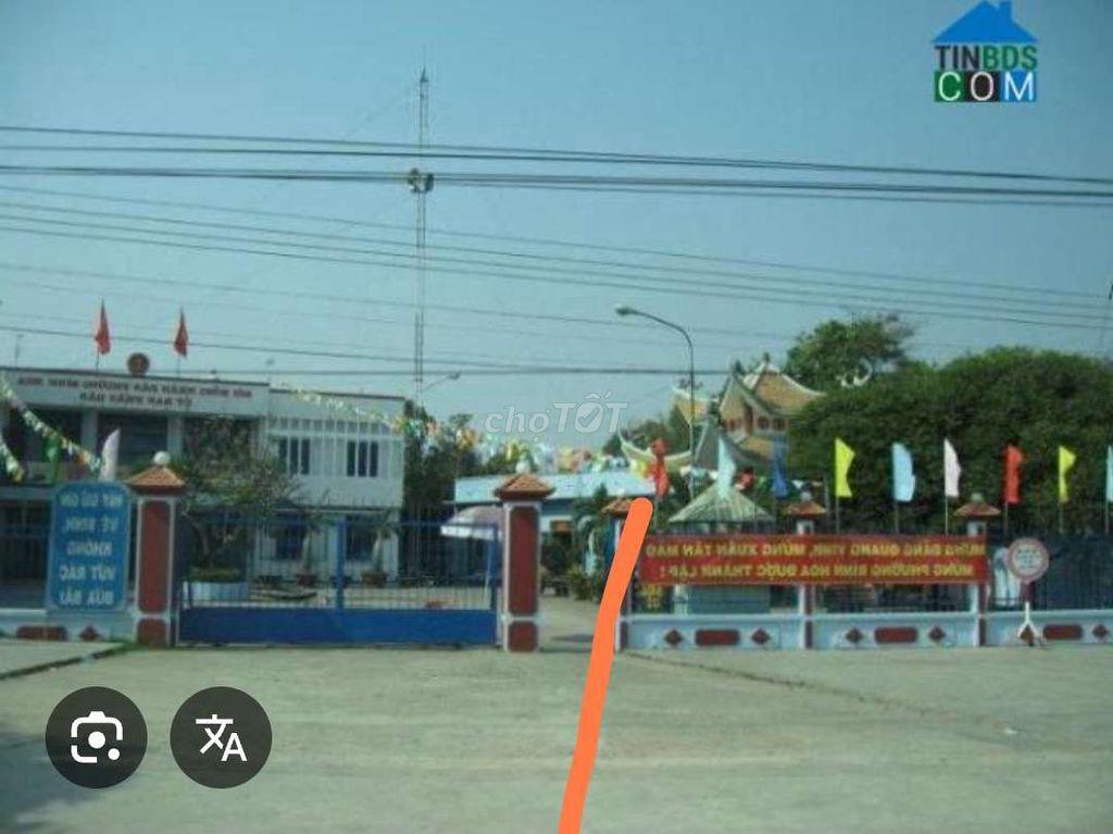 cho thuê đất