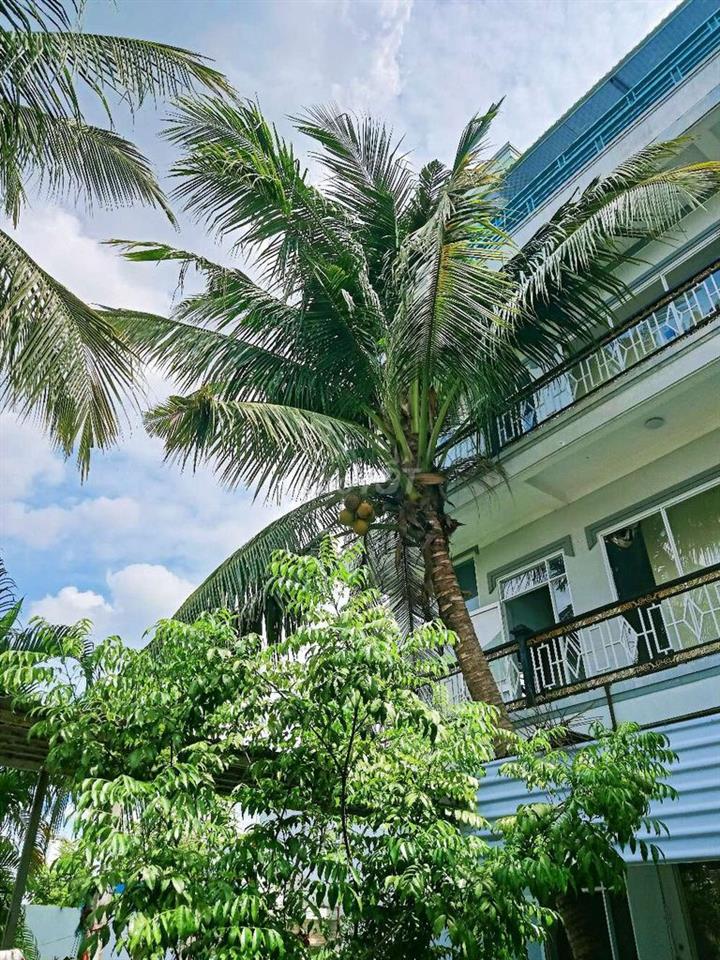 tôi cần cho thuê căn hộ mini và trọ có sân vườn