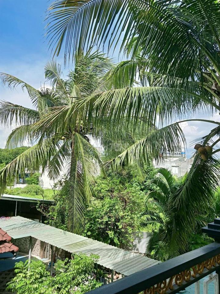 tôi cần cho thuê trọ và căn hộ mini