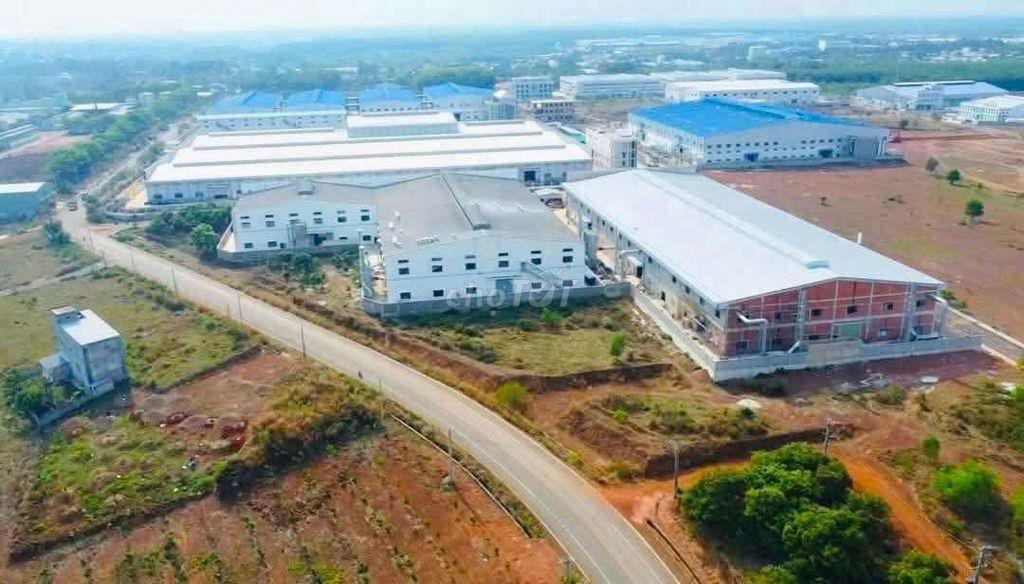 Thanh lý gấp lô đất 250m2 tính xây nhà trọ cho thuê