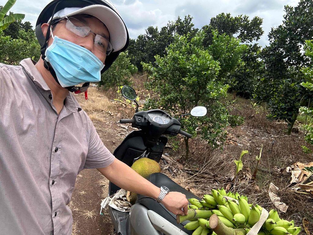 Đất vườn cây ăn trái rất đẹp