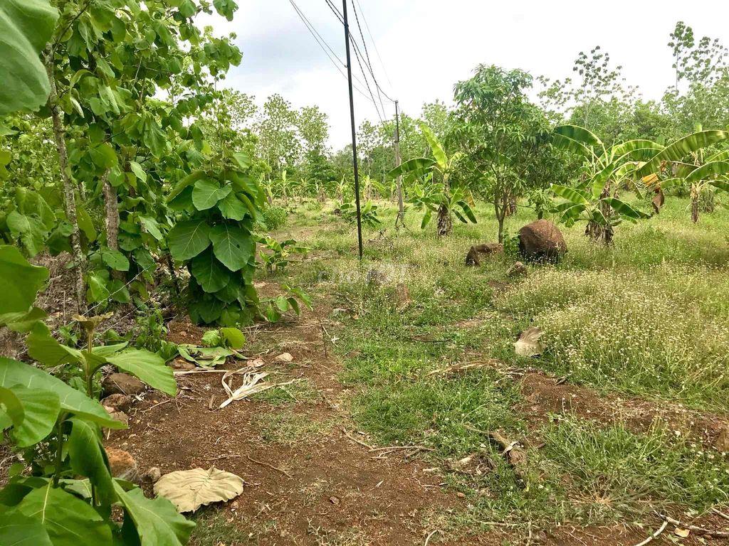 Bán đất sào Ngọc Định