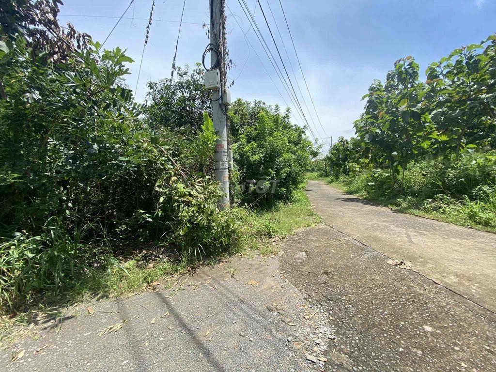 Bán đất sào Ngọc Định