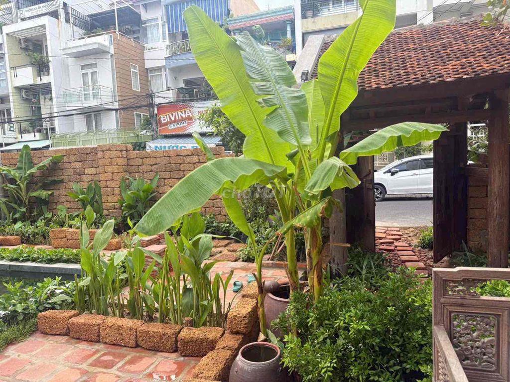Cho Thuê Nhà Mạc Đĩnh Chi Tân Lập Nha Trang Ngang 16,5m
