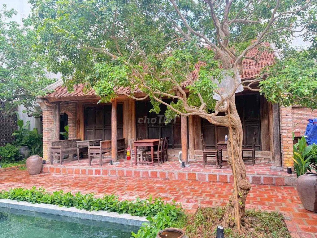 Cho Thuê Nhà Mạc Đĩnh Chi Tân Lập Nha Trang Ngang 16,5m