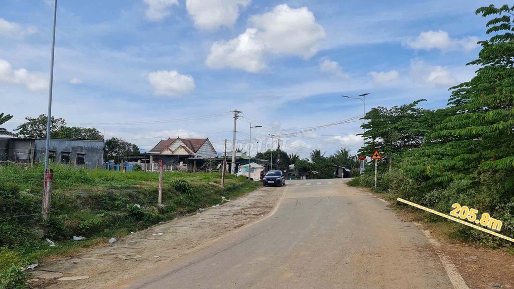 BÁN ĐẤT CLN ĐƯỜNG NHỰA TRUNG TÂM DIÊN XUÂN
