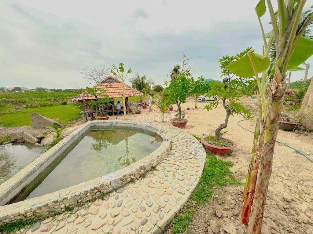 ĐẤT QUY HOẠCH THỔ CƯ NINH TÂY GIÁ 750k/M2