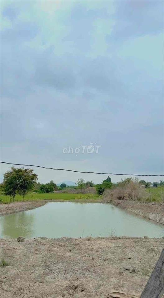 ĐẤT QUY HOẠCH THỔ CƯ NINH TÂY GIÁ 750k/M2