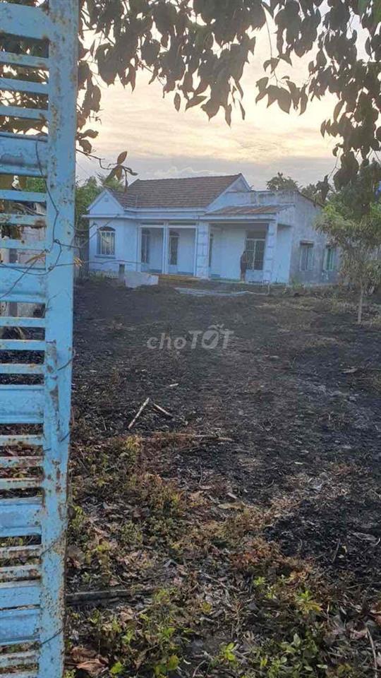 Cho thuê nhà diện tích lớn giá siêu rẻ
