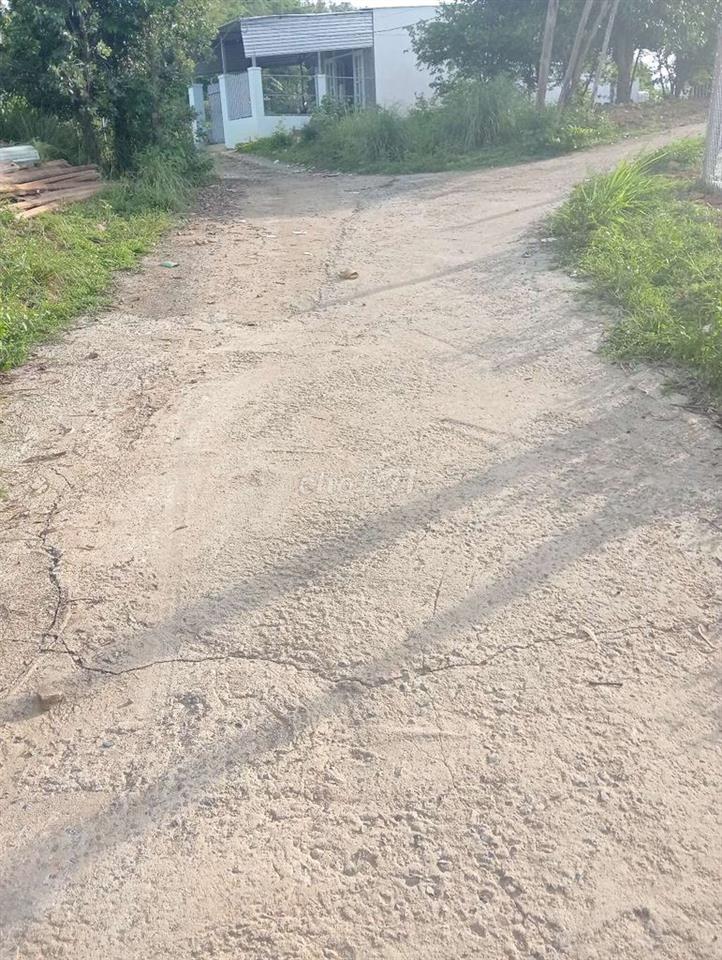 cần tiền chữa bệnh cần bán gấp đất
