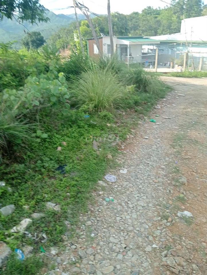 cần tiền chữa bệnh cần bán gấp đất